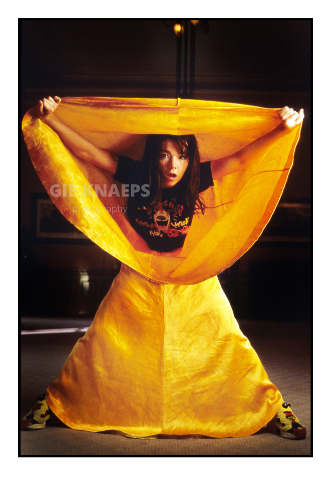 Björk, Holland 1995